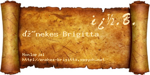 Énekes Brigitta névjegykártya